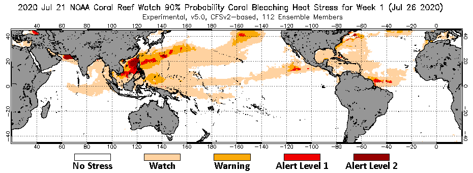 Animatation fo Alerts for Coral Bleaching