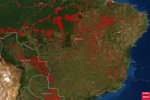 Satellite Images of Amazon Fires