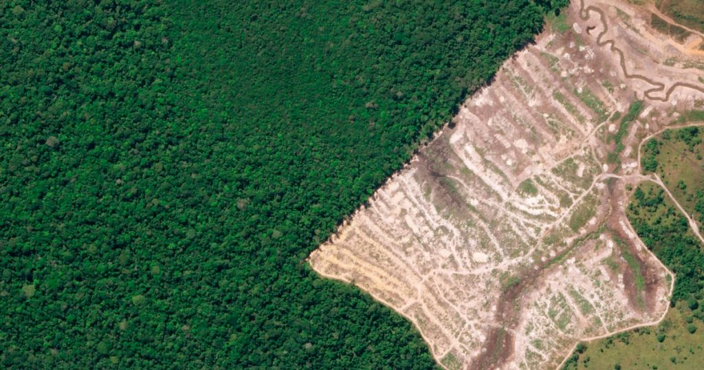 Amazon Rainforest Deforestation Satellite